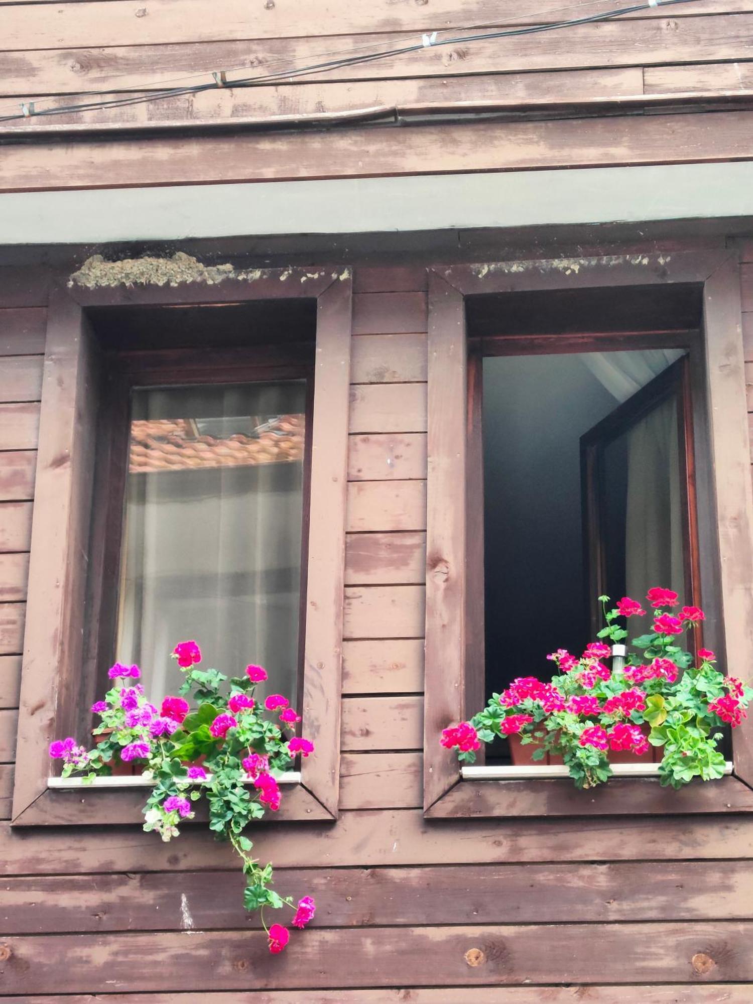 Guest Rooms Melsambria Νεσέμπαρ Εξωτερικό φωτογραφία