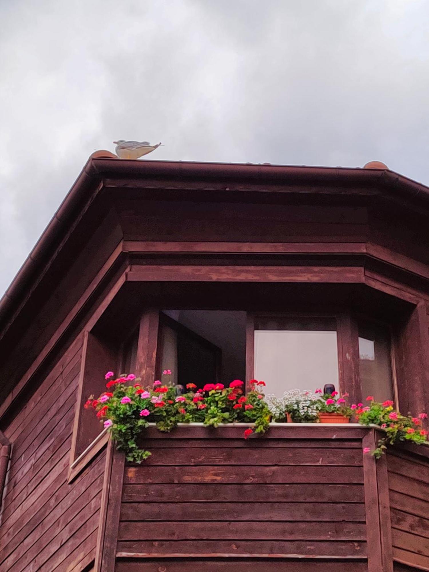 Guest Rooms Melsambria Νεσέμπαρ Εξωτερικό φωτογραφία